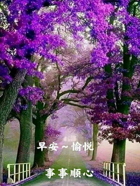 按我可連結至更清楚的圖片
